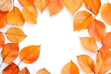 Fototapeta premium Autumn Banner with Orange Leaves - Abstract Background