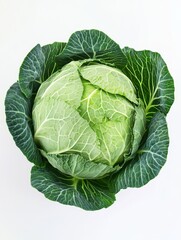 Obraz premium cabbage