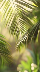 Obraz premium Close-up of Palm Fronds with Sunlight Filtering Through