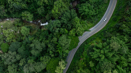 Aerial view car drive in green tree forest road winding road through the forest, Car drive on asphalt road between green tree forest, Electric vehicle EV car drive on asphalt road green tree forest.