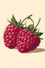Vintage Illustration of Two Raspberries on Beige Background