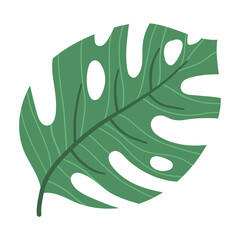 Green tropical leaf illustration