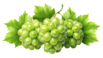 bunch of green grapes  isolated on transparent background png