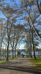 walk in the park in nyc