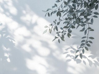 Abstract natural tree leaves shadow on white wall background -ai