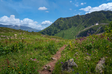 The valley of the Malaya Dukka River surrounded by the mountains of the North Caucasus and the tourist trail to the Dukka Lakes on a sunny summer day, Arkhyz, Karachay-Cherkessia, Russia © Ula Ulachka