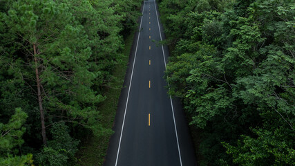 Aerial view asphalt forest road  passing through the green forest tree, Forest road in the middle of the jungle green forest tree, Road in woodland outdoor adventure trip.