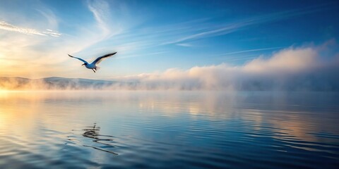 Fototapeta premium nature, dreamlike, wildlife, calm, peaceful, coastal, seagull, ripple, seaside, reflection, scenic, landscape, surreal, Sea ripple water with morning fog and flying seagull reflected