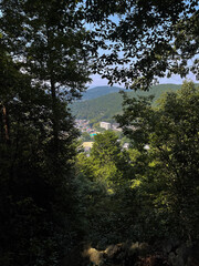 木立の隙間から見える山科疏水