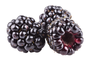 Fresh Ripe Blackberries Close Up Macro Isolated on White