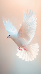 Fototapeta premium White dove in flight with soft pastel background, symbol of peace and tranquility