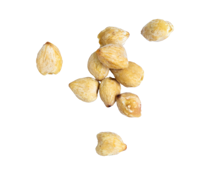 candlenut isolated on white background
