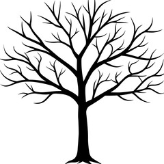 Silhouette of Tree without leaves