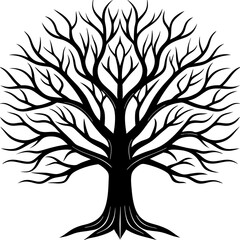 Obraz premium Silhouette of Tree without leaves