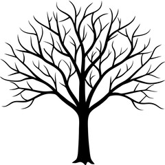 Silhouette of Tree without leaves