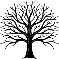 Obraz premium Silhouette of Tree without leaves