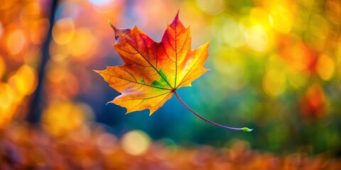 Fototapeta premium As the vibrant autumn leaf drifts gently through the crisp autumn air, its descent is a serene symphony