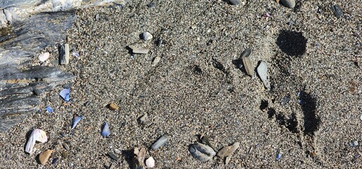 footprint on maine beach