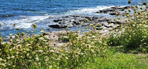 Two Lights State Park, Cape Elizabeth, Maine