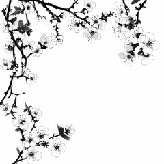 Fototapeta premium Black and White Cherry Blossom Branch Border 