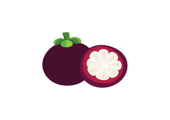 mangosteen fruit isolated on white background. Modern abstract minimal style. 2d. flat design. vector