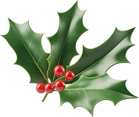 Bright green holly leaves with red berries isolated on transparent background.