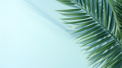 Fototapeta premium A single palm leaf casts a shadow on a light blue background, creating a minimalist and tropical design.