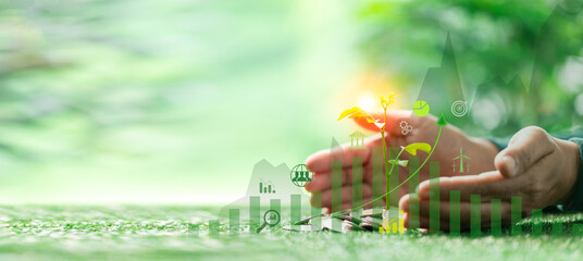 Investing in sustainable business practices can nurture financial growth, turning money into wealth as it supports both nature and savings for the future. business, nature, money, coin, finance.