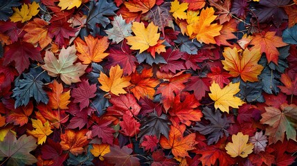 A large pile of red and yellow leaves