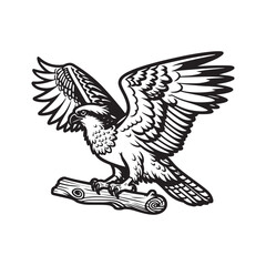 Line art of a hawk perches on a branch. cartoon vector