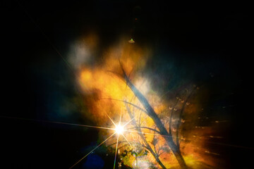 A radiant starburst light illuminates an abstract scene with colorful shadows of branches and leaves. The blend of vibrant yellows, greens, and blues creates a dreamy, ethereal atmosphere.