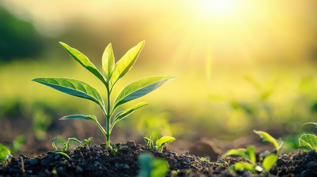 Eco-friendly technology company with green certifications and sustainable practices in their operations