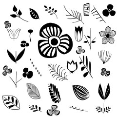 Icons in the shape of flowers, leaves, and various branches serve as transparent backgrounds to decorate various projects.