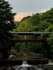 bridge over the river