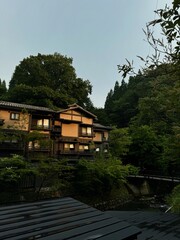 wooden bridge in the forest