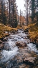 Tranquil Stream Flowing Through a Wooded Landscape