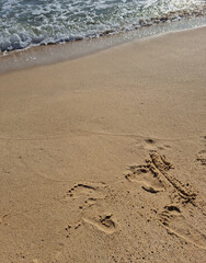 It's a sandy beach with footprints
