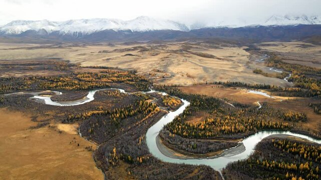 Chuya river in Kurai steppe, Altai mountains, Siberia, Russia. Aerial drone view. Snow-covered mountains and yellow autumn trees. North-Chuya ridge. Autumn landscape.
