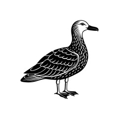 albatross silhouette vector illustration sublimation