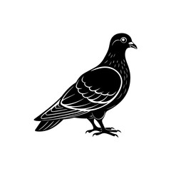 pigeon silhouette vector illustration sublimation 
