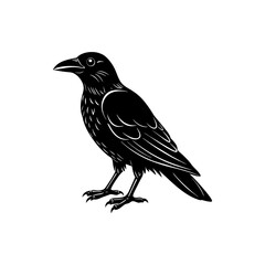 crow silhouette vector illustration sublimation