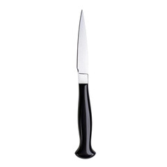 A sharp kitchen knife with a sleek black handle, perfect for culinary tasks and food preparation.