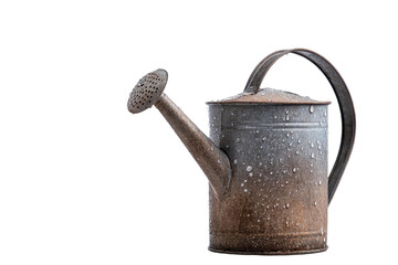 An antique watering can with droplets, perfect for gardening and home decor. Adds rustic charm to any garden setup.