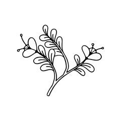 A black and white line art illustration of a delicate flower branch.