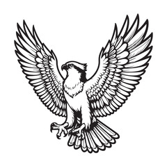 Obraz premium Line art of hawk cartoon flying and spreading the wings vector