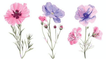 set of pencil style colorful birth flowers on a white background