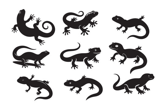 Gecko silhouette vector illustration, Gecko silhouette vector, Gecko silhouette PNG 