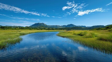 Obraz premium A calm river with a blue sky in the background