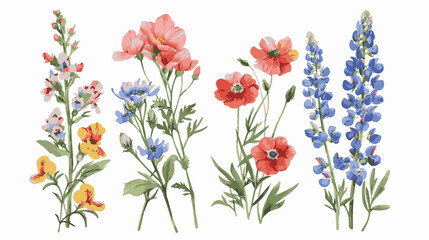 set of pencil style colorful birth flowers on a white background