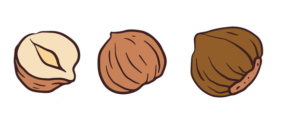 Hazelnuts doodle images isolated on white. nut in shell, whole kernel and half illustrations for poster, banner, recipe card, menu, food package design